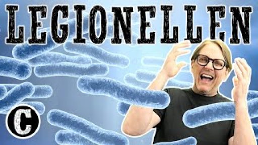 Legionellen – Wissenswertes zur Warmwasser Hygiene